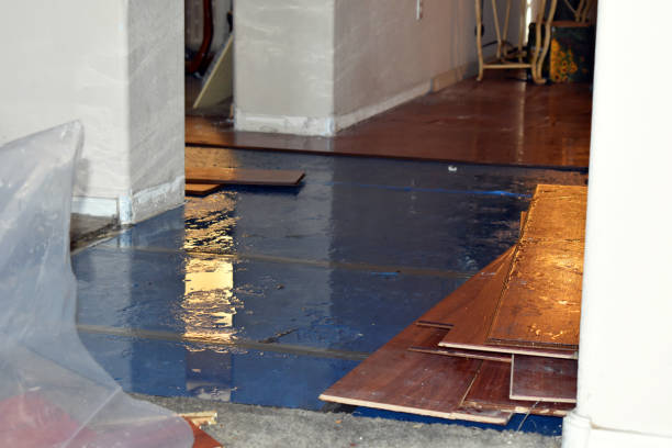 Professional Storm Water Damage Restoration technician working in Miamitown, OH